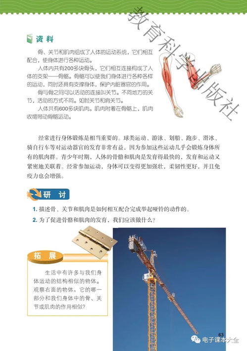 2021新改版教科版科學(xué)五年級上冊電子課本教材 材料科學(xué)研究與高清PDF下載指南