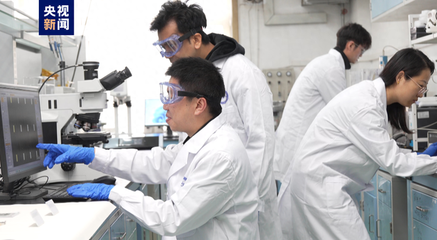 二維金屬碲化物宏量制備實(shí)現(xiàn)突破，為未來材料應(yīng)用鋪平道路